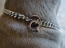 Bullies & Co. - Silver Choke Dog Pet Collar Chain - Bullies and Co