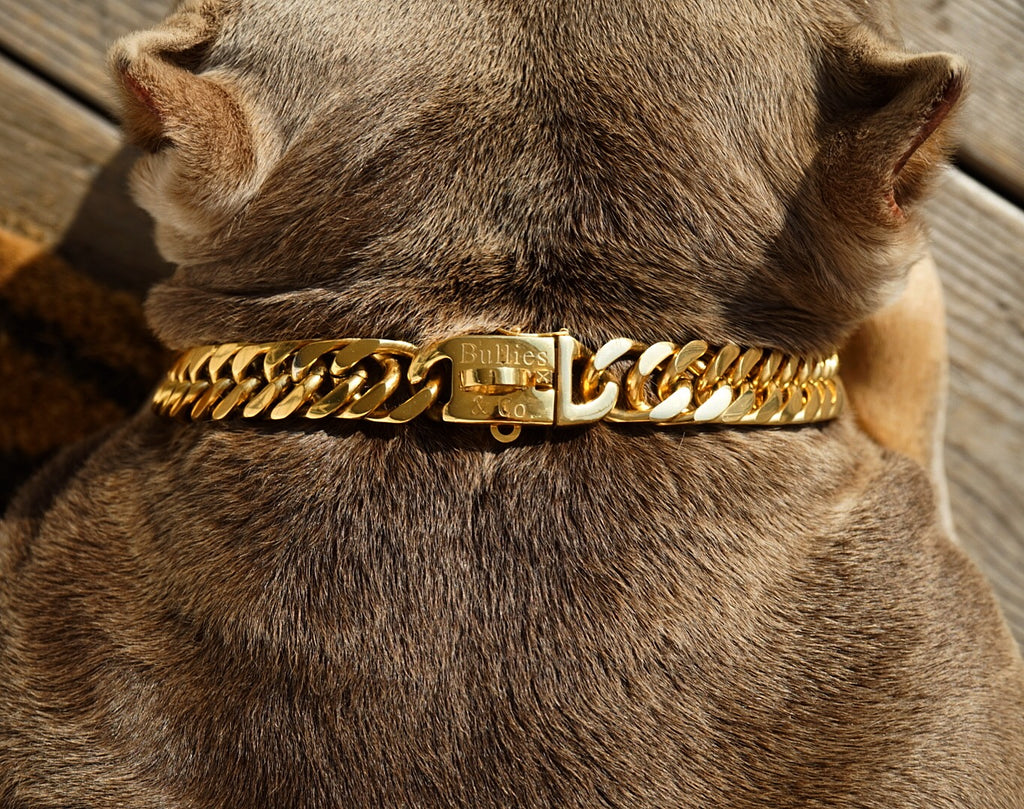 Louis Vuitton Dog collar - Must have!