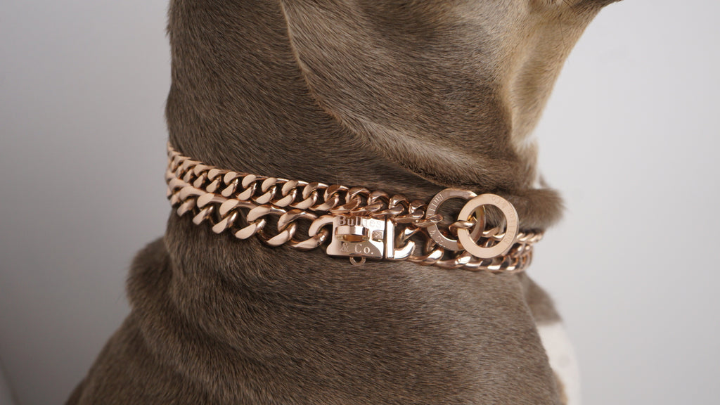 Rose gold dog collar chain cheap