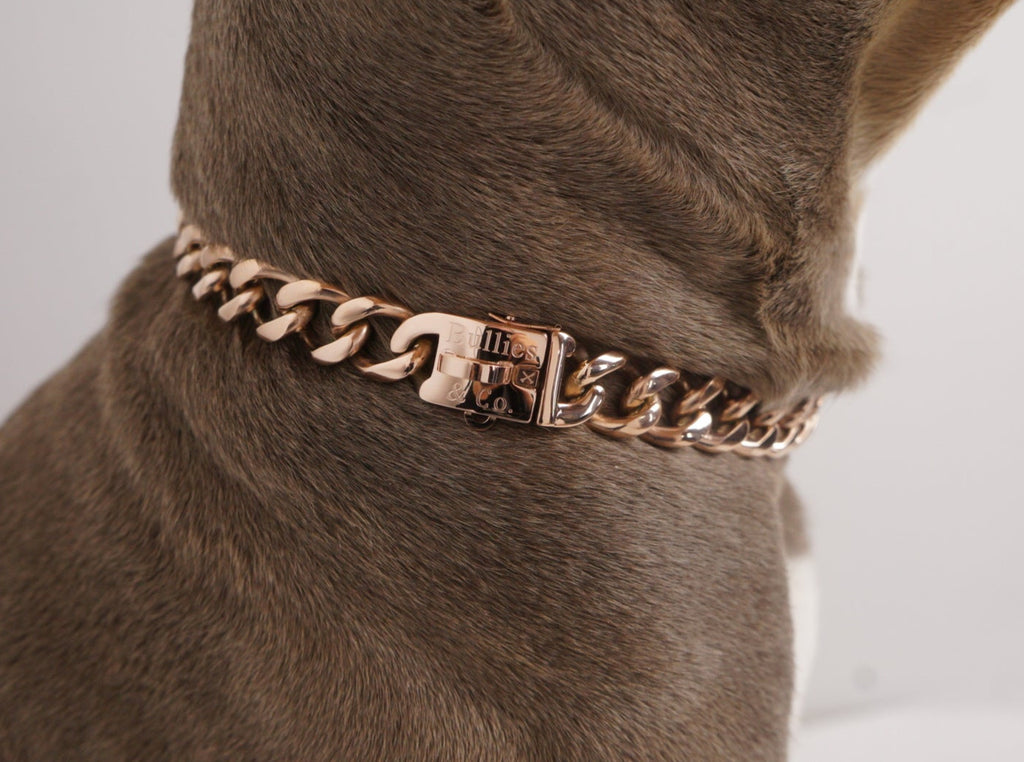 Rose Gold popular Pit-Bull + 24