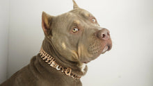 Rose Gold Choke Chain - Bullies & Co.