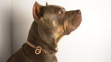 Rose Gold Choke Chain - Bullies & Co.