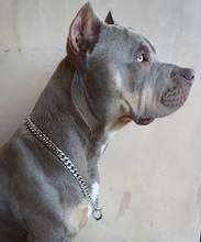 Silver Miami Cuban Choke Chain - Bullies & Co.