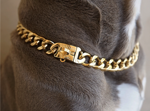 Bullies & Co. - Gold Miami Cuban Clasp Dog Collar, Pet Chain - Bullies and Co.