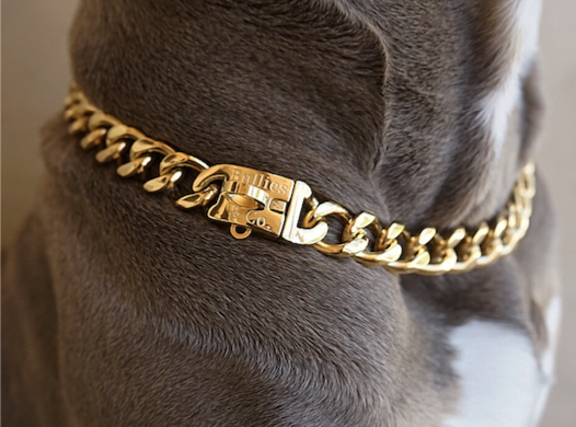 Luxury Dog Collars: Gold Miami Cuban Dog Chain