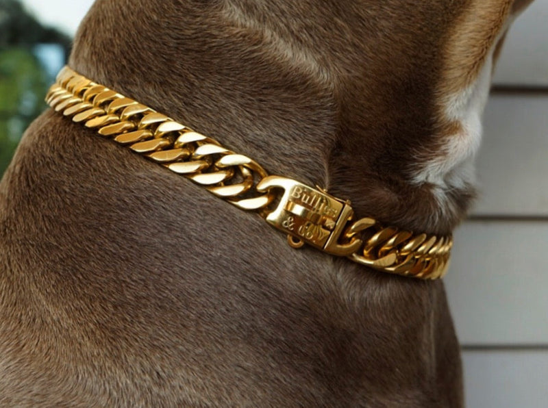 Cuban link clearance collar for dogs