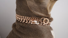 Bullies and Co. - Rose Gold Miami Cuban Clasp Dog Pet Collar - Bullies & Co.