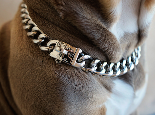 Affordable top dog collars