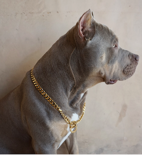 Adjustable Pet Necklace Cat Dog Collar with Diamond Zircon Heart Pendant  Jewelry Luxury Metal Puppy Collars Dog Accessories - AliExpress
